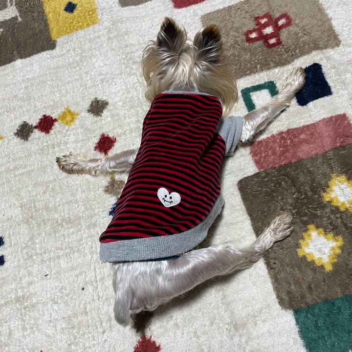 32e8aab4 fd7b 49cc b88a 2039cb4a11d9 1705917476453