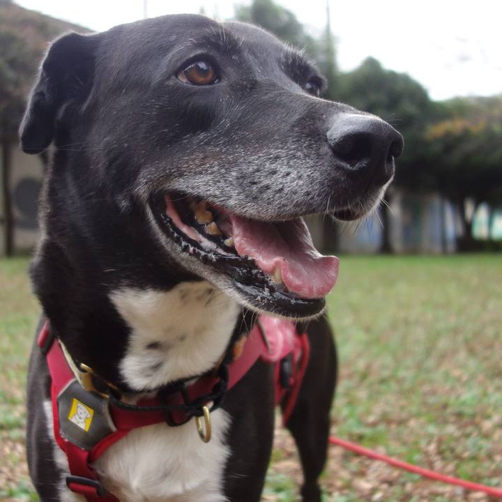 32e8c5d9 6551 4b6d 953b ceb050fbb69d 1699663309974