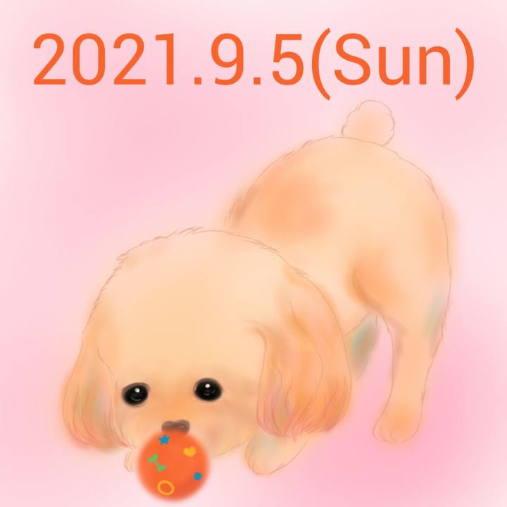32e90140 4446 4139 92e6 0f0a1a845e71 1630843383992