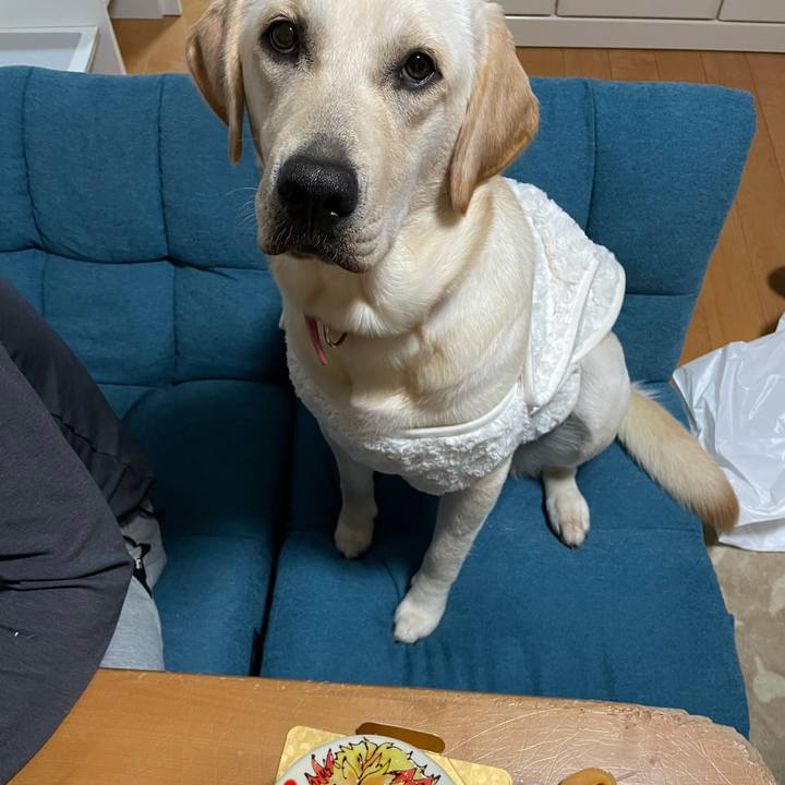 32e97c5f 2661 4120 a761 fb77e9f14322 1635000013713