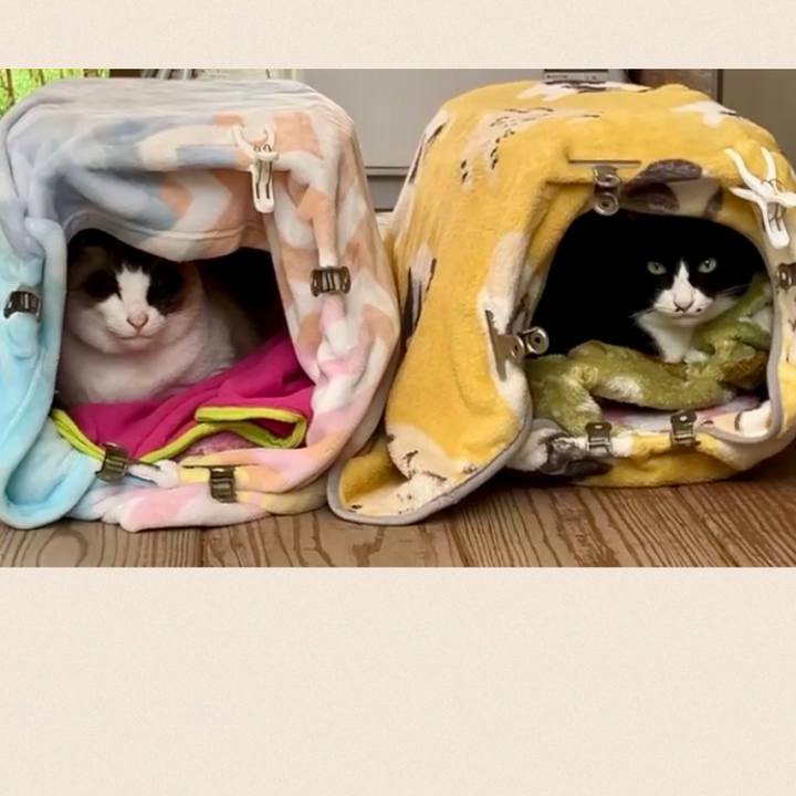 32e97c85 b9a2 4e23 bf52 da3d364446ec 1742355366015