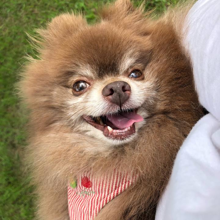 32e99c03 1dd1 45e7 80d7 8c8180c0c078 1626051250900