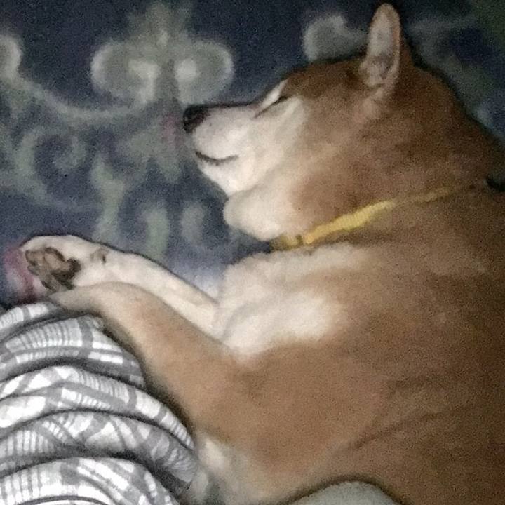 32e9aeb4 b2ac 4e52 8d4b 93ed874669fd 1524227185904