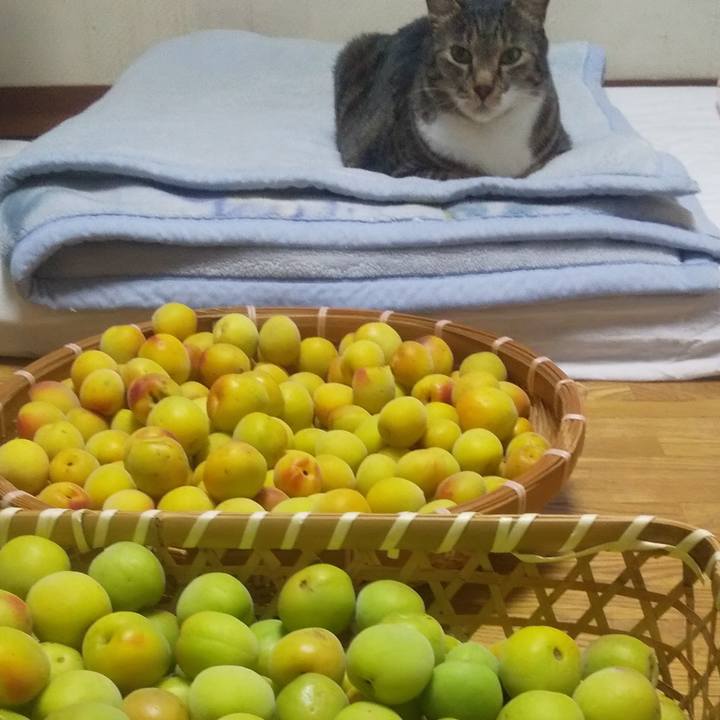 32e9b683 7295 4f49 a3b6 a468b50acd19 1717667664213