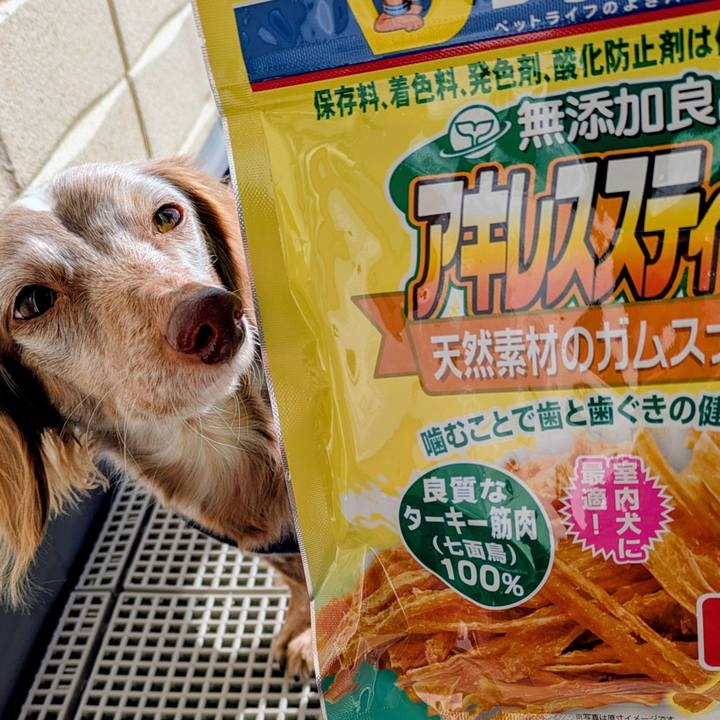 32e9b8b0 4262 4729 828b 66df17346311 1765418420494