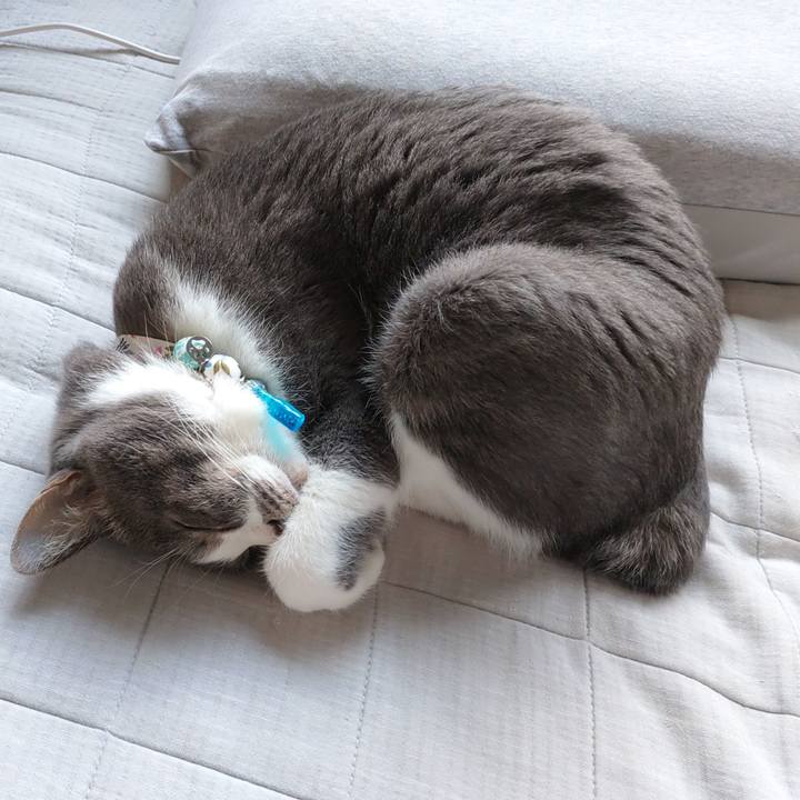 32e9da5b 9bef 4968 8f94 d37730a98da4 1668304531349