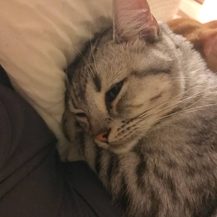 32e9dcdb 160a 453d beb9 d4298c316790 1508586977167