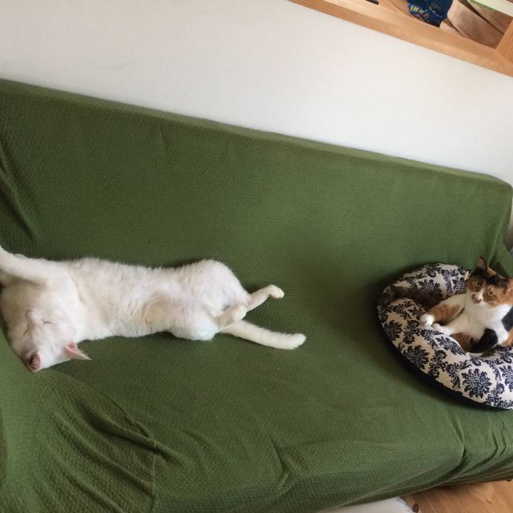 32ea100d 9811 4be9 8ba7 523824d1198b 1533472517107