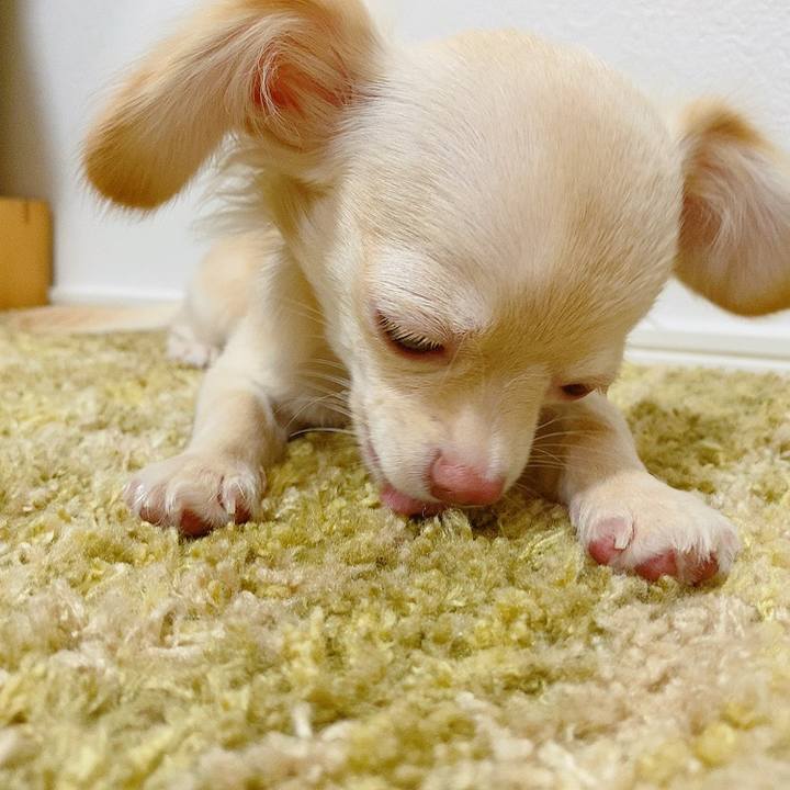 32ea2843 242b 4efc b838 35d6fa053a8e 1596173474515