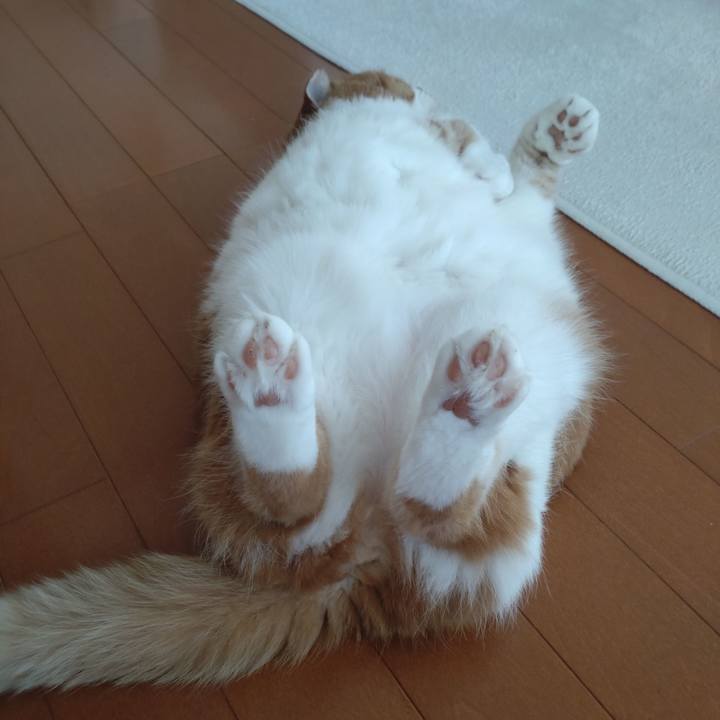 32ea32ab 2c25 4a71 9956 687d08a2065d 1773039953743