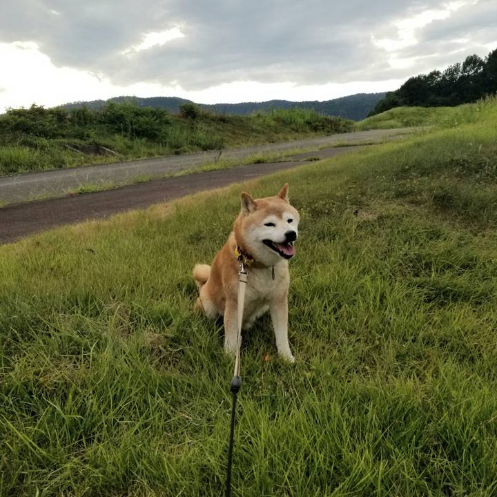 32ea3f0b 6de8 4469 9c17 d77b24a103ca 1692431849470