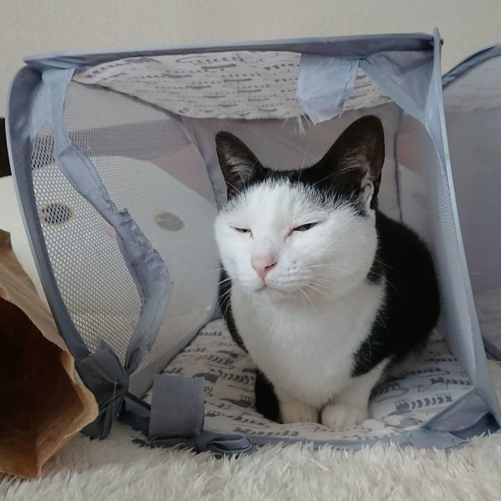 32ea3ff5 abca 452e af88 44b3a2848cc1 1510114055820