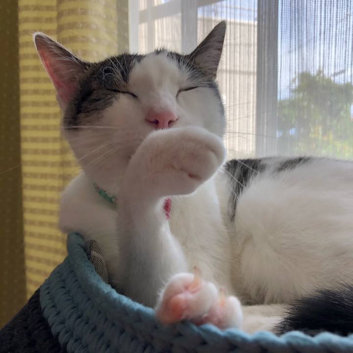 32ea9d36 504d 4df5 8049 58770acbbc83 1595317650215