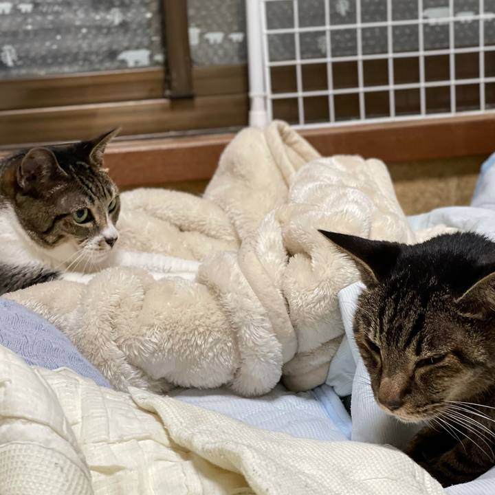 32eabe02 bcc0 4190 966d e8885b97d643 1631928995026