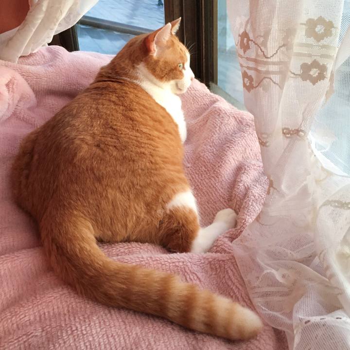 32eac874 bce1 43cf 8f50 e9c8f8ce847c 1574923746245