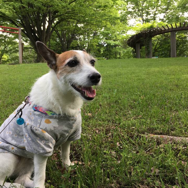 32ead75f 0570 44bb b375 027236d02ab9 1653262479856