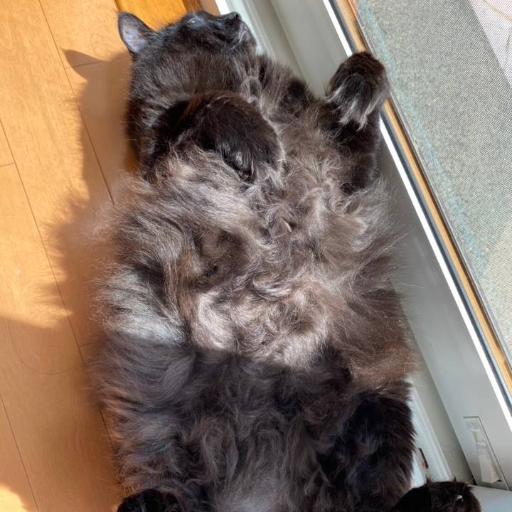 32eadf98 8b2d 4f86 b139 228eee1065bc 1591097709468