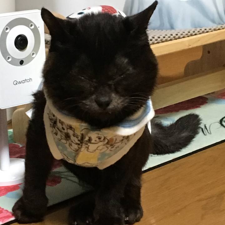 32eaea7f 1d62 4f27 8f7f f825ecd16b14 1531498842101