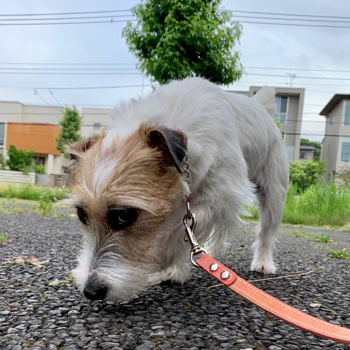 32eb1a58 d232 4e4d a507 1a4d28839ea8 1623639121606