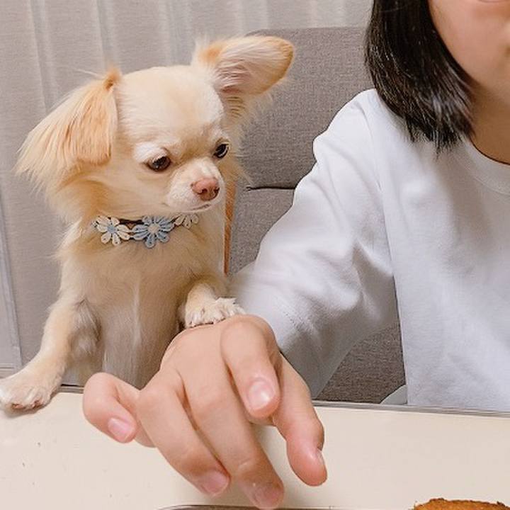 32eb1dbf b462 4165 8c9e 499e7176ba45 1619783698240