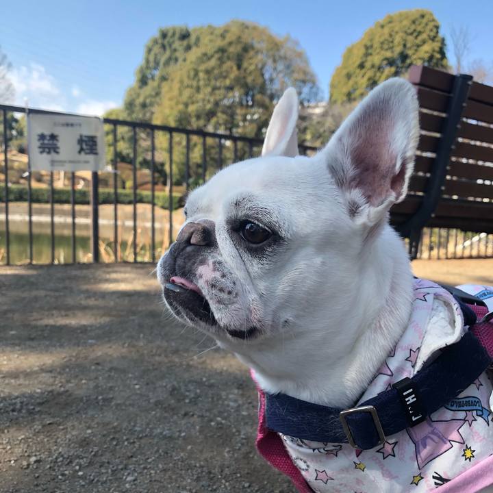 32eb1f72 718e 4a22 8361 535ff5ebf5dc 1614064297287