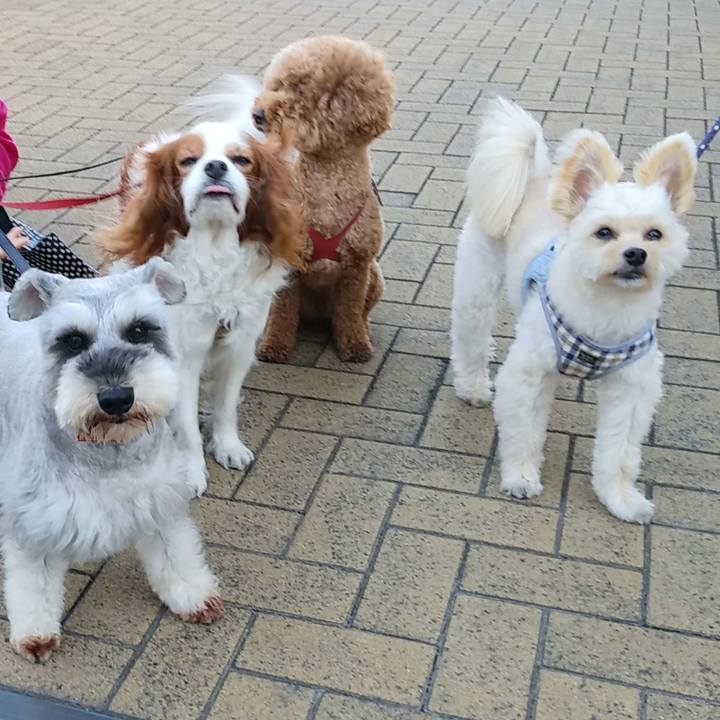 32eb24c1 e39b 462f 81fe 14d2c21ac2a3 1557546102305