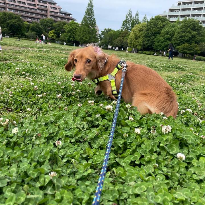 32eb4b73 e018 4a94 99f2 2d09d3c677cf 1746950967061