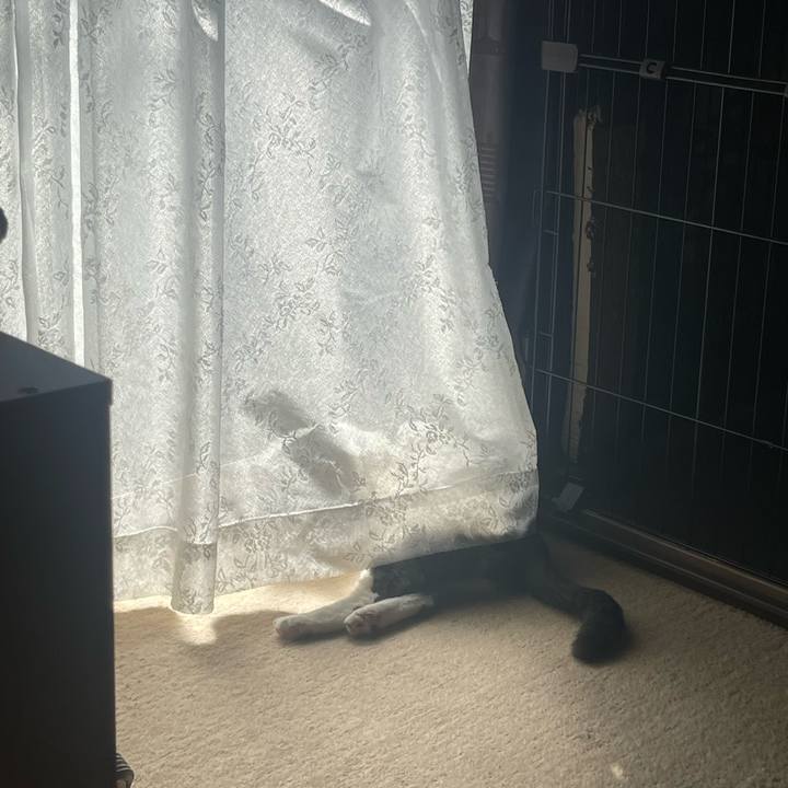 32eb74cb 5d9c 46dd a159 fb74bf83abaf 1678084176778