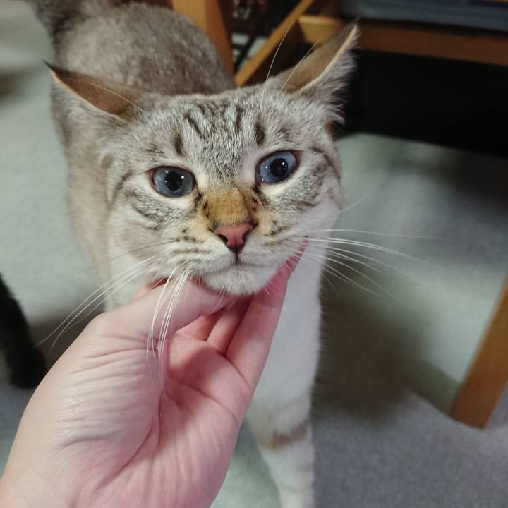 32eb822e 33dd 410f a951 fc22933cbae2 1596276023769