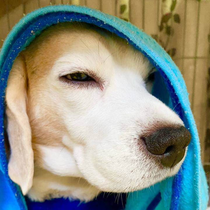 32ebad66 2dc4 4d97 b09e aa682079c99d 1608176591682