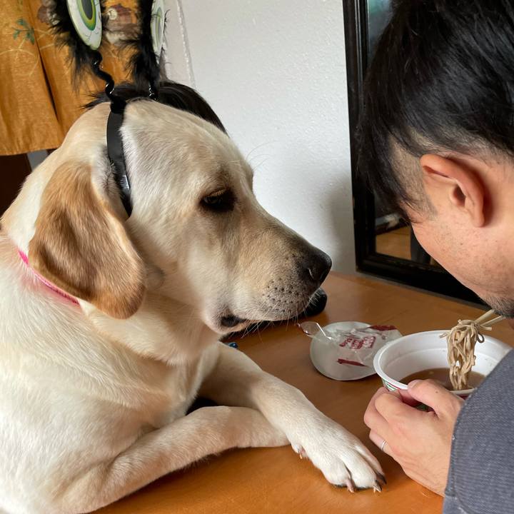 32ebda7a decb 4ea6 802a f5aa9f3ee27a 1635051236787