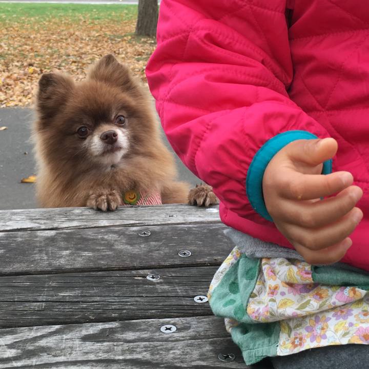 32ebf02f 52a4 4999 88cd dcd8ee05feda 1509254435392