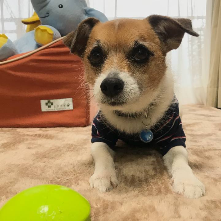 32ec2280 7763 4347 bacb 880dbe637dfb 1520293883204