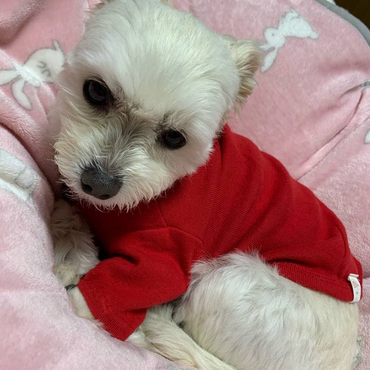 32ec61b3 724f 4f45 86c3 3a283d310484 1580386891214