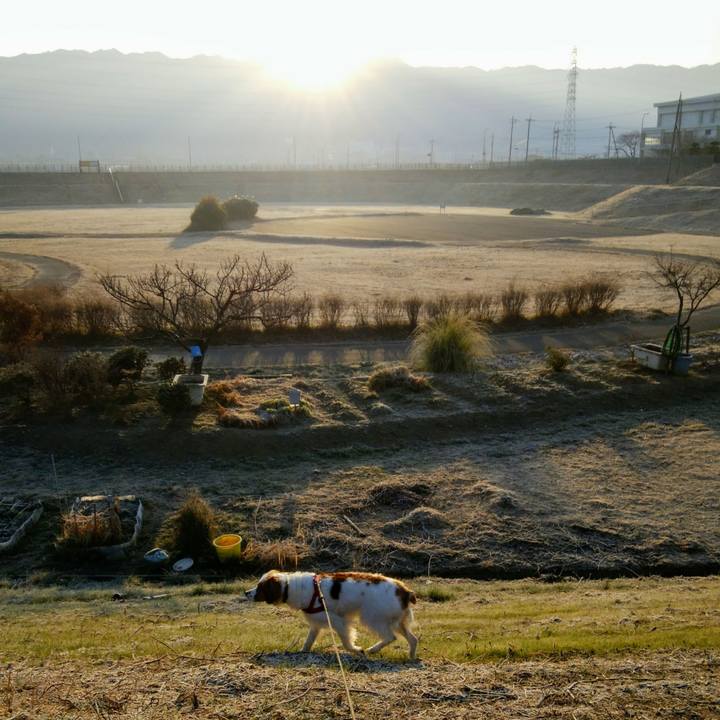 32ec7eb1 73e8 41c7 804a 36a9afe3afc3 1550456594115