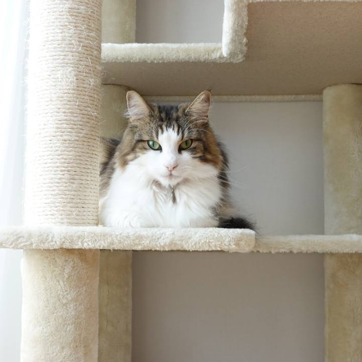 32ec876f ecba 4d3b 9299 9a8d077c704e 1599269067453