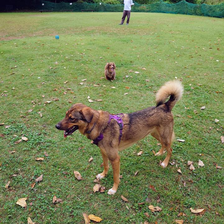 32ecb301 740a 40af b898 05187e1ac97d 1759625244851