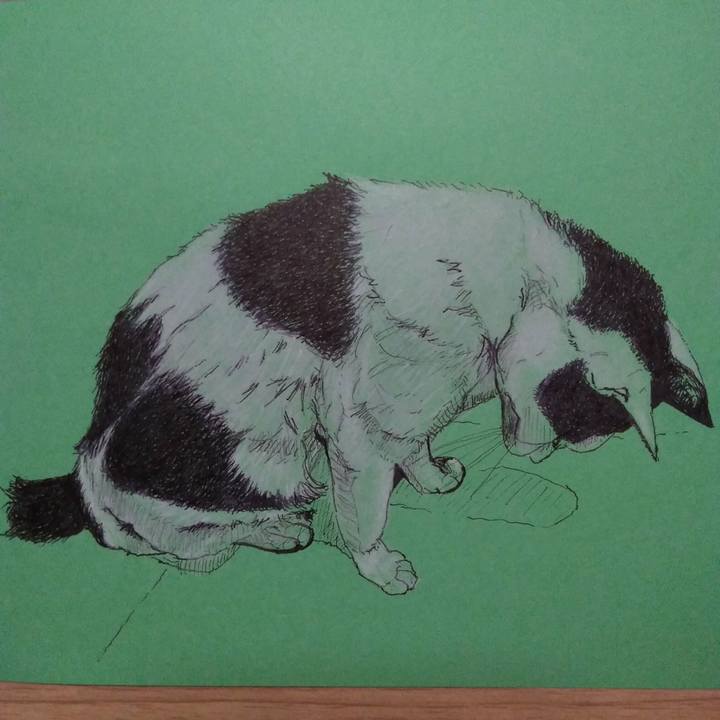 32ecbc3b 37d3 49e0 99cc 4507d693e6e0 1520430006847