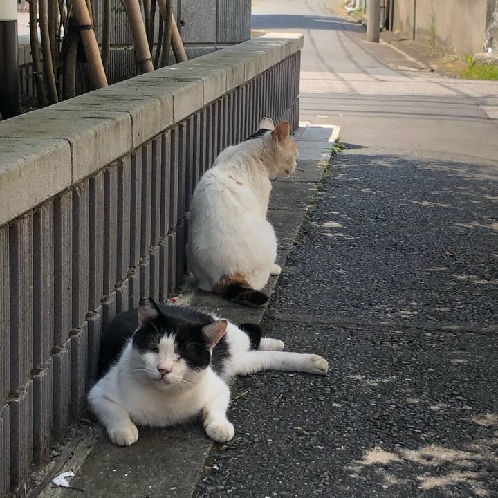 32ecd953 9716 48da a184 8be831126628 1599975685651