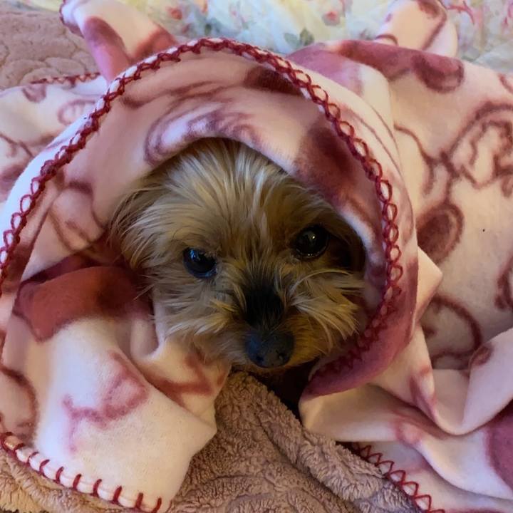 32ecee0c 1924 445f 852f 84aa6d77fbca 1642498094098