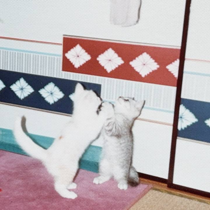 32ecf0c0 2f45 44d4 a6c1 850edc1e2501 1752746309731