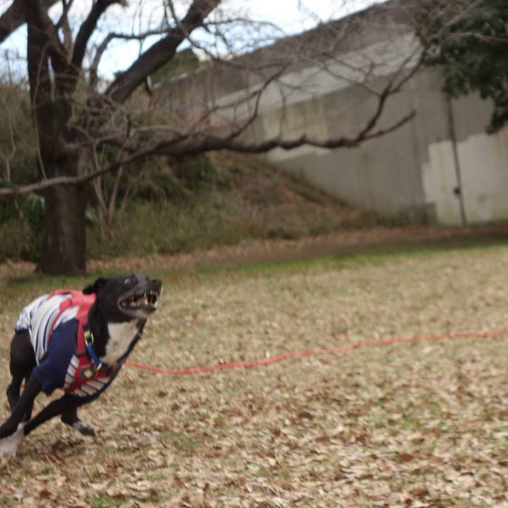 32ed6908 da6b 4ea4 b770 de69569831f0 1677803642768