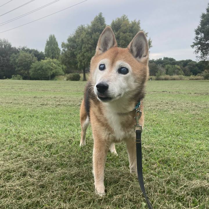 32ed6e24 4450 4c60 8495 928f60920a44 1759463698360