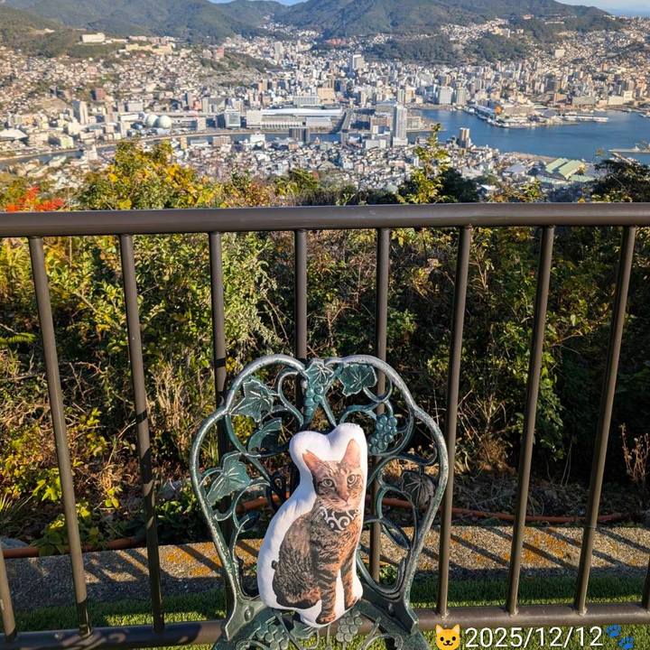 32ed9a1b 951b 4a90 8018 220b8539b849 1765605052484