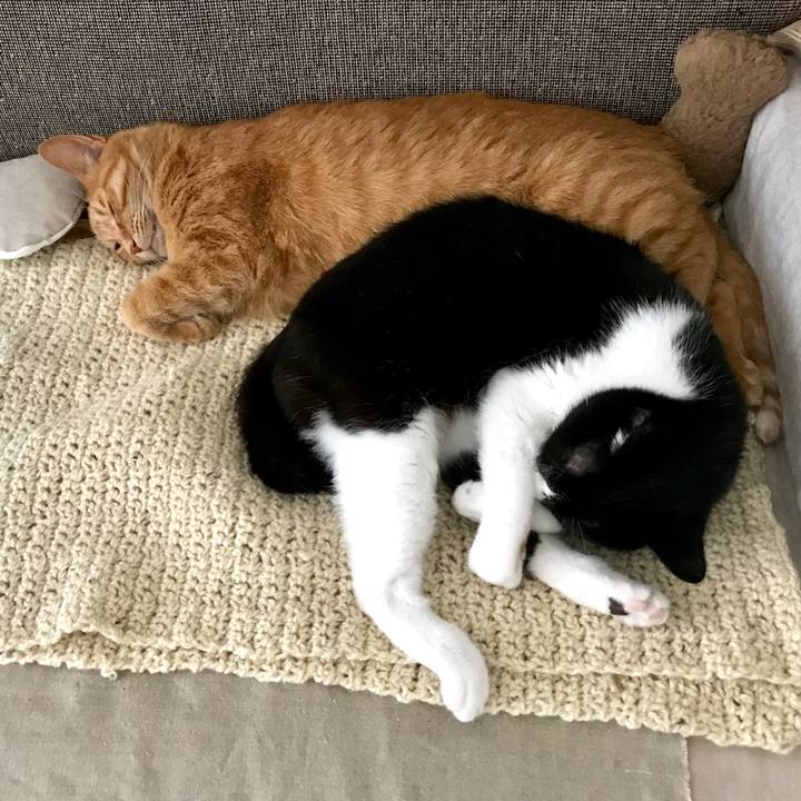 32ed9c0d 6eff 4a9c bcbb 2416f7d520db 1527912185881