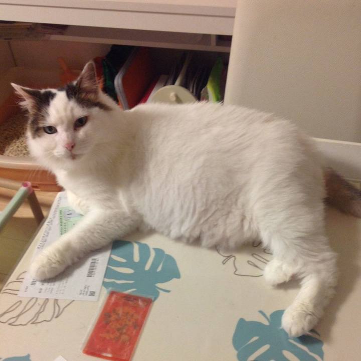 32edb46f f05f 4a66 b185 a352056f9410 1626442479853