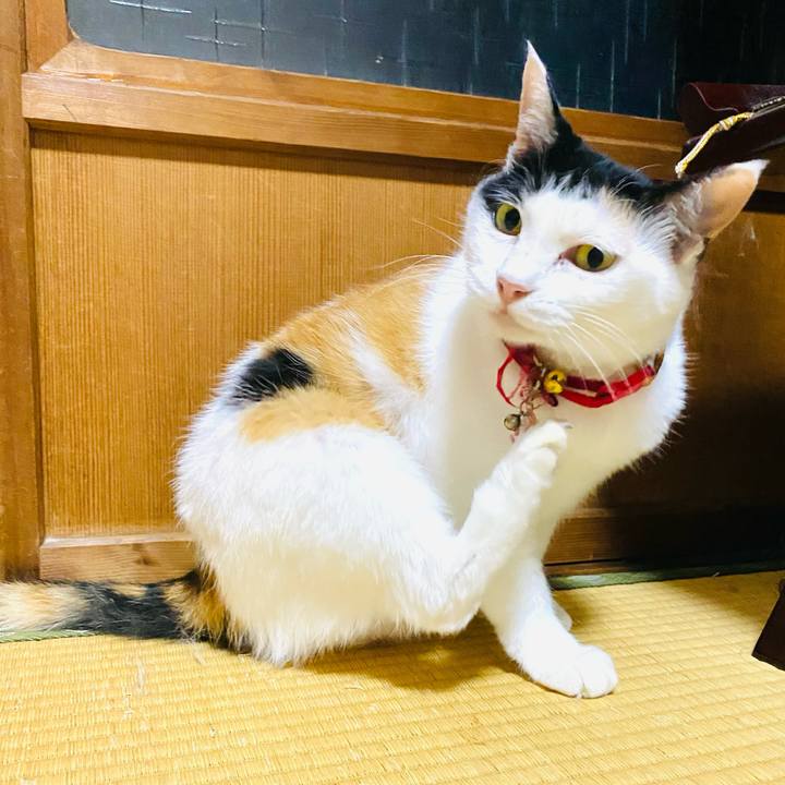 32eddf8f 5df1 4528 a356 97b9a6f6e343 1753624976163