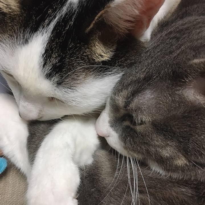 32ee0f25 eb3c 484d a812 3d8a98ec97dd 1581255744088