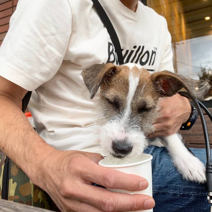 32ee21f2 b452 4ce5 a3de 274c0959c2db 1562409880044