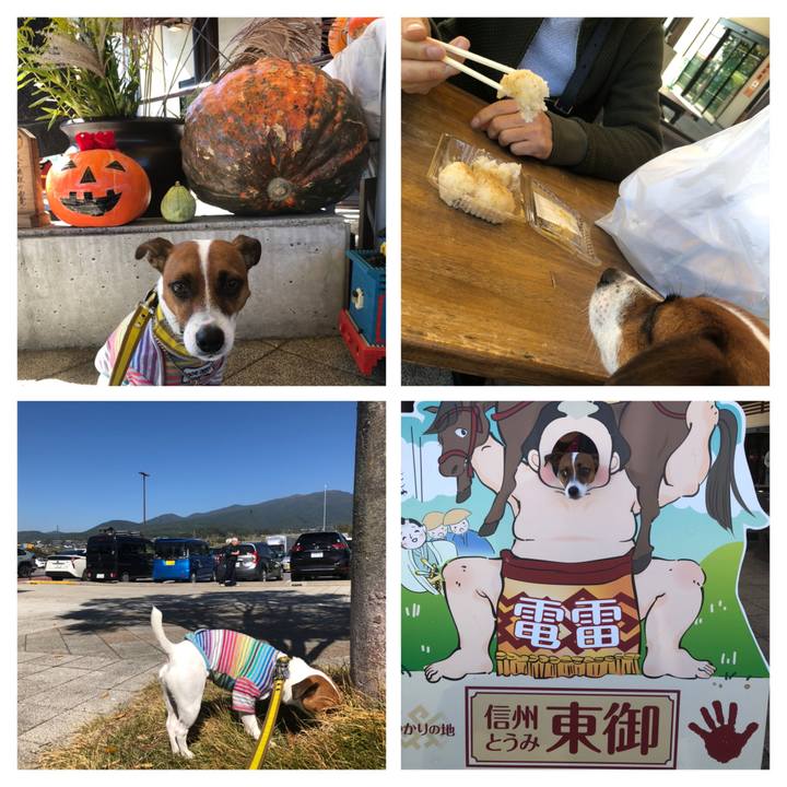 32ee2c1a 9028 44a4 81ee febe64a25398 1570676417722